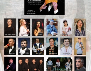 Concert caritabil pentru Turcia