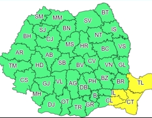 Cod galben de ploi, în Dobrogea