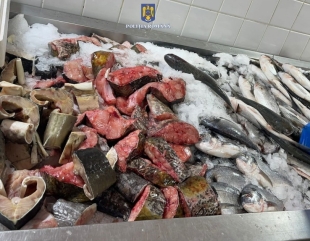 Amenzi și dosare penale pentru braconaj piscicol