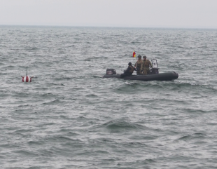 În căutare de mine marine