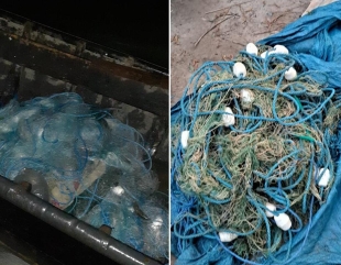 100 kilograme de pește provenit din braconaj și 500 metri de plase descoperite de polițiștii de frontieră