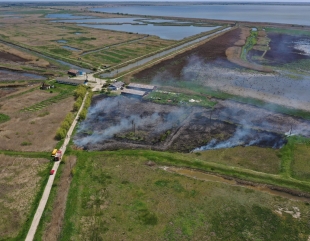 Incendiu de vegetație stuficolă, la Tulcea