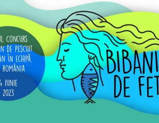 Bibaniada de fete, la Mila 23