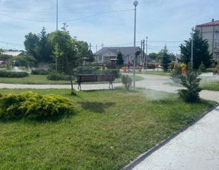Lumina: Dezinsecție în parcuri și locurile de joacă
