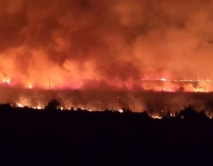 Incendiu violent lângă penitenciarul Poarta Albă