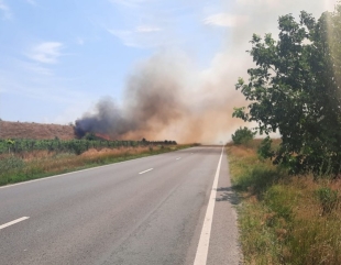 Incendii în lanț, la Constanța