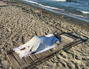 Delfin mort, adus de valuri pe o plajă din Constanța