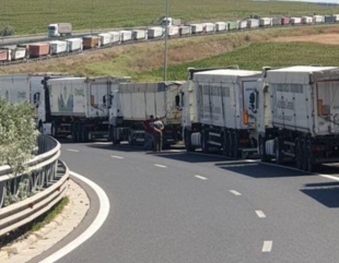 Haos în Portul Constanța. Sute de TIR-uri așteaptă să descarce tone de cereale