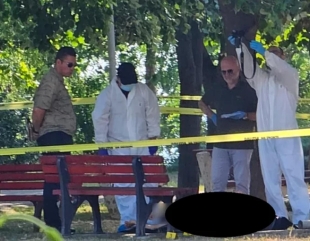 Imagini de la crima din Mangalia. Suspecta a fost filmată în timp ce căra cadavrul prietenei ei, în parc