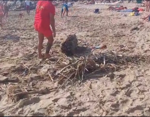 Eforie Nord: Plajă acoperită de crengi și lemne după furtuna de zilele trecute