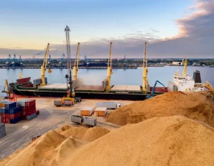 România face planuri pentru accelerarea tranzitului cerealelor ucrainene