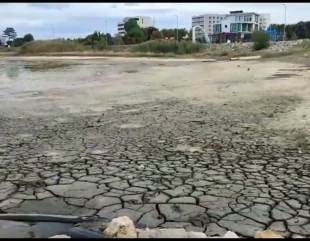 Lacul Techirghiol a secat pe aproape 100 de metri