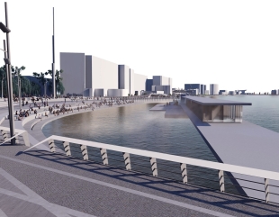 Tulcea: Din ce în ce mai multe păsări se lovesc de clădirile de pe faleză
