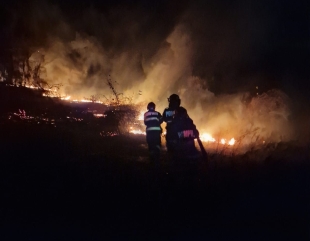 VIDEO. Tulcea: 100 de hectare de teren s-au făcut scrum