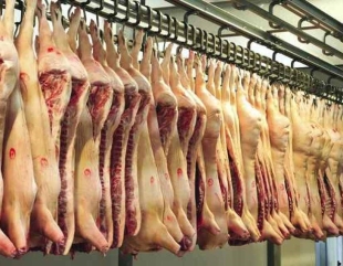 Atenție de unde cumpărați carne de porc! Recomandări de la medicii veterinari