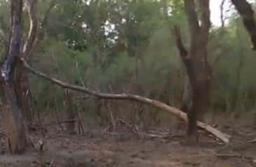 Mister în aer: O dronă căzută pe Insula Mare a Brăilei ridică semne de întrebare