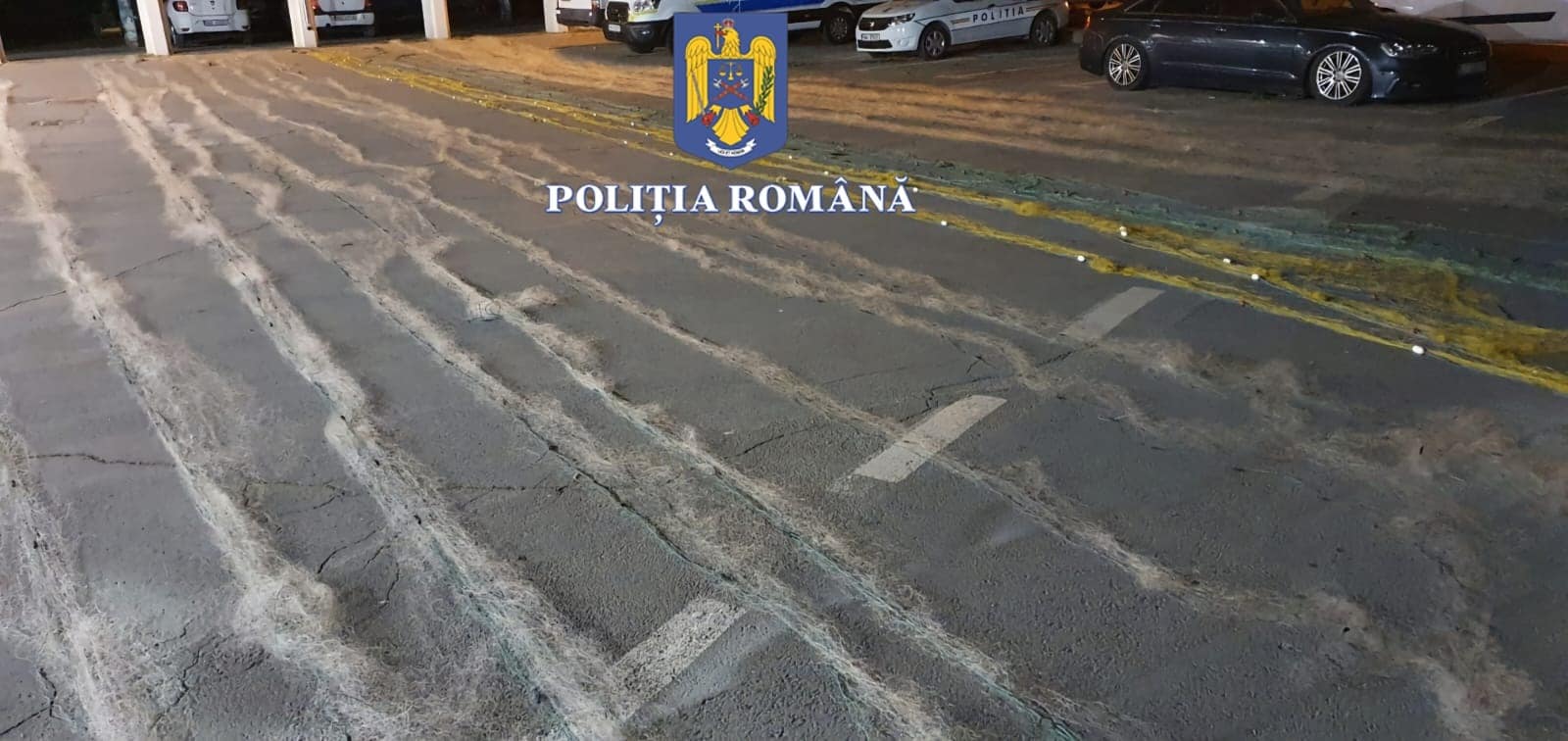 Dosar penal pentru pescuire ilegală în amenajarea piscicolă de la Conacu