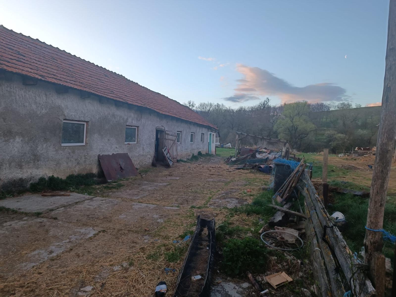 Caz șocant! Copil ținut în cușcă și obligat să muncească la o stână din Brașov