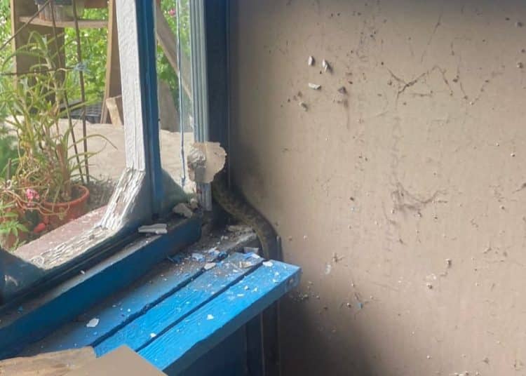 Jandarmii constănțeni au scos un șarpe din peretele unei case din județul Constanța
