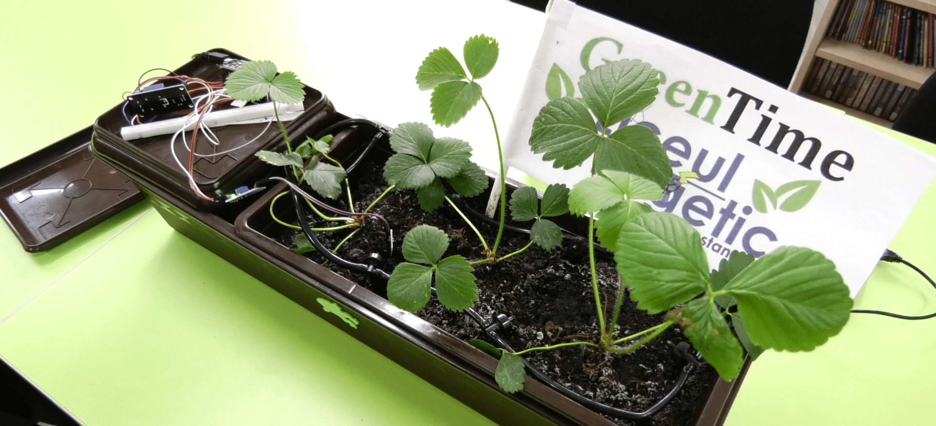 Soluții inovatoare pentru agricultură de la elevii constănțeni