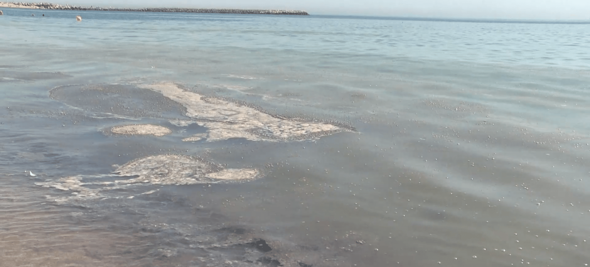 Alertă de poluare în Marea Neagră  