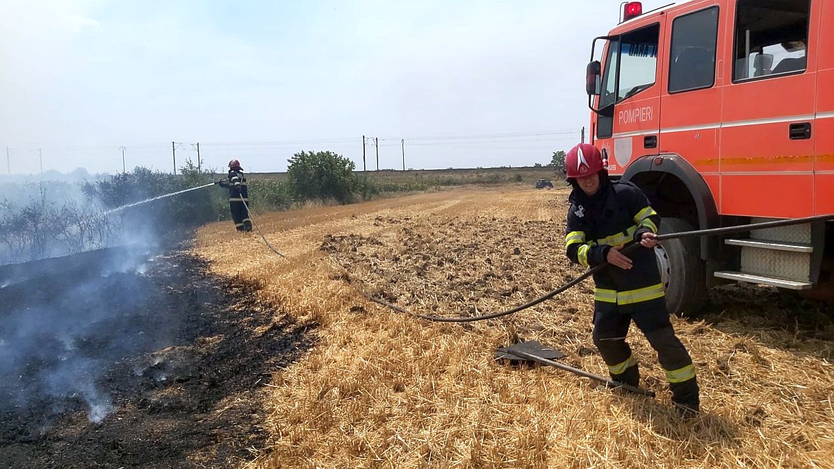 Incendiu de vegetație în Cumpăna, aproape de canalul Dunăre-Marea Neagră