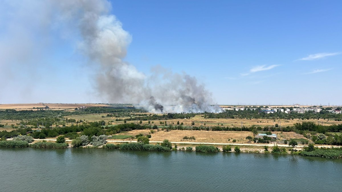 Medgidia: Incendiu de vegetație