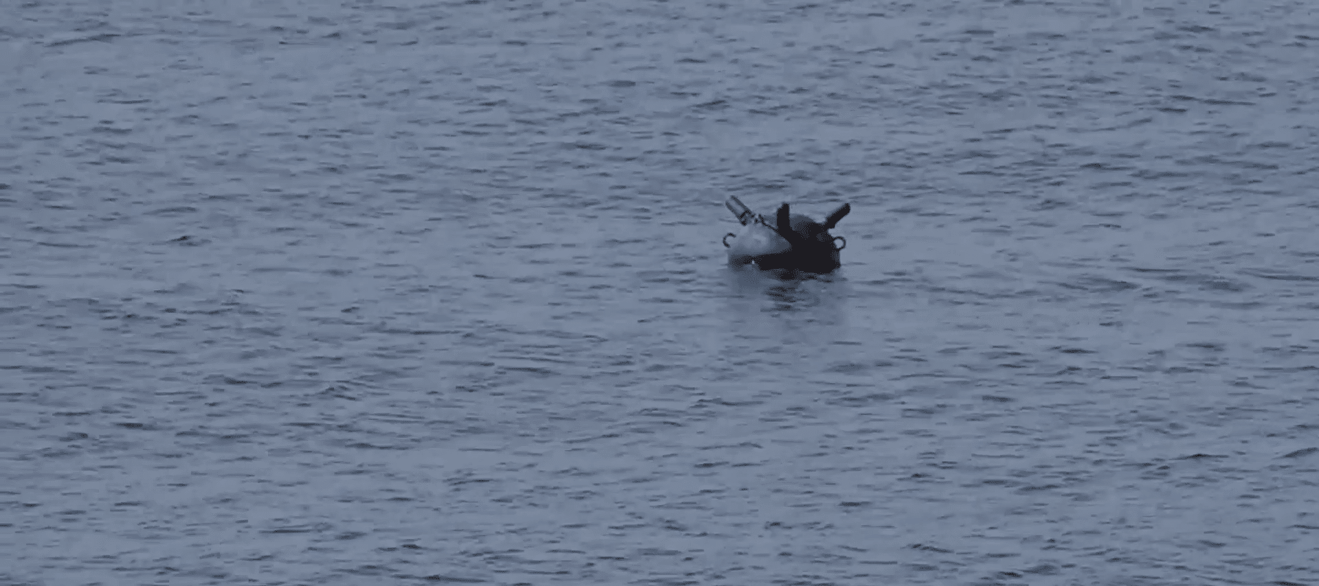Război contra minelor din Marea Neagră