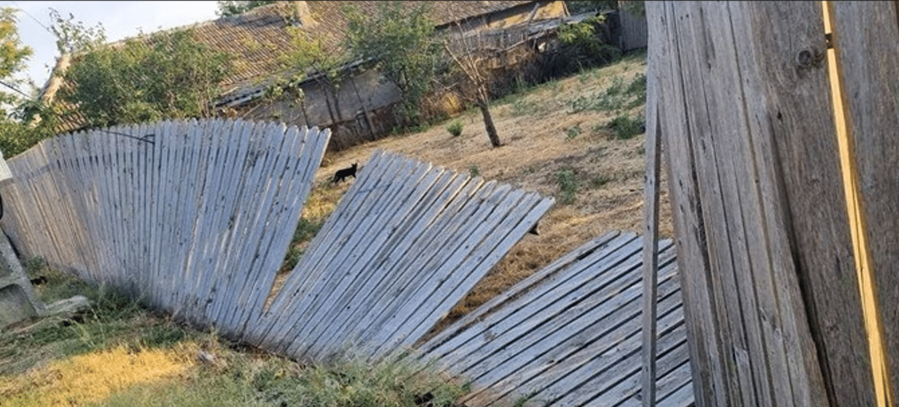 Caniculă și vijelii, în județul Constanța