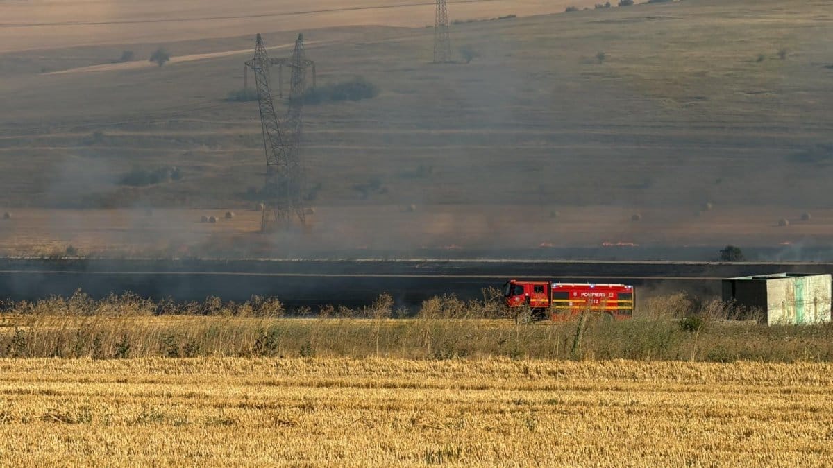 Incendiu de vegetație la Medgidia
