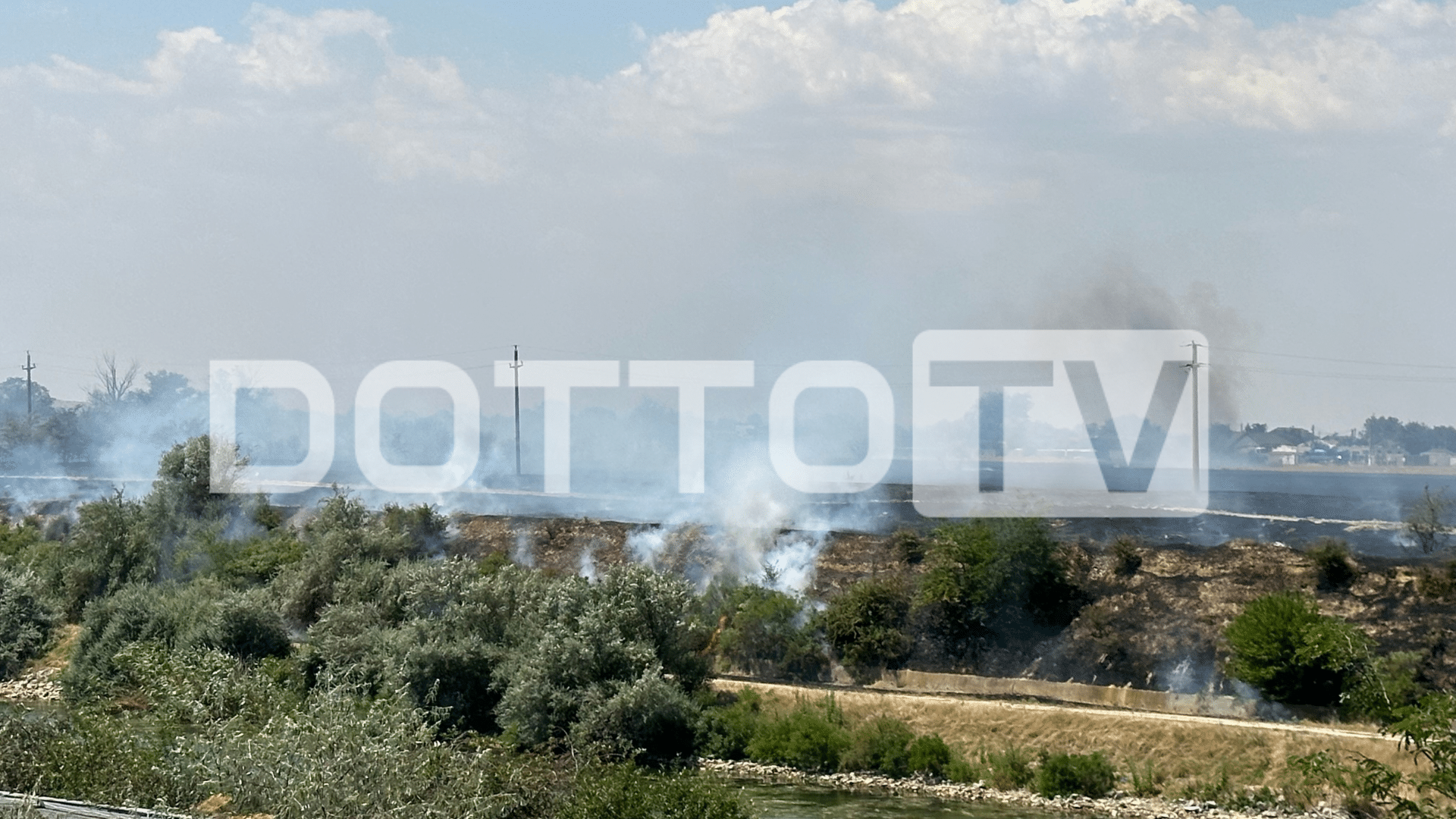 FOTO/VIDEO: Incendiu de vegetație la Poarta Albă