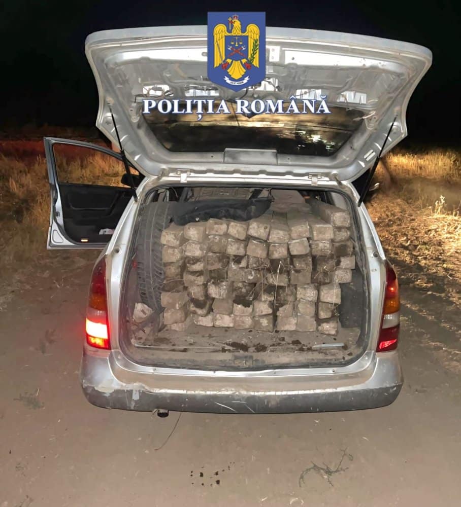 Trei bărbați au fost prinși cu mașina plină de șpalieri în urma unei razii la Murfatlar