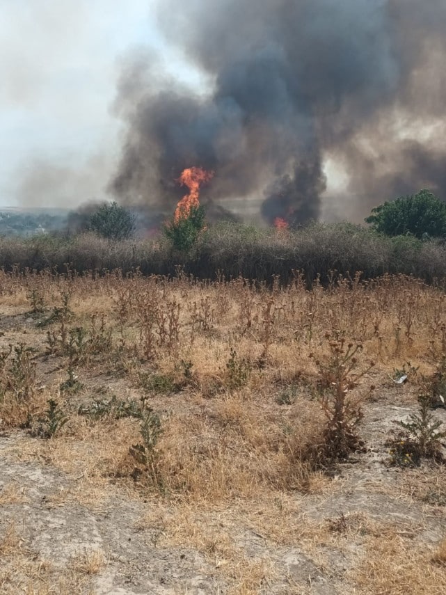 Trafic oprit pe DN 38, în zona Techirghiol, din cauza unui incendiu de vegetație