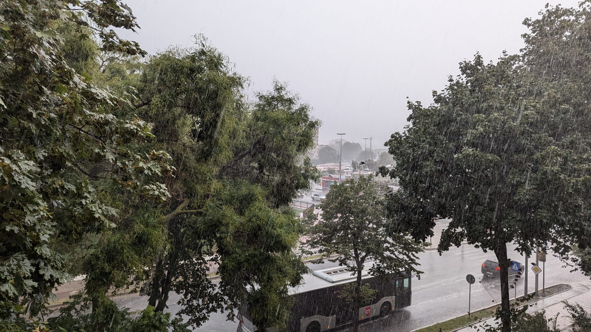Cod galben de fenomene meteorologice periculoase la Constanța