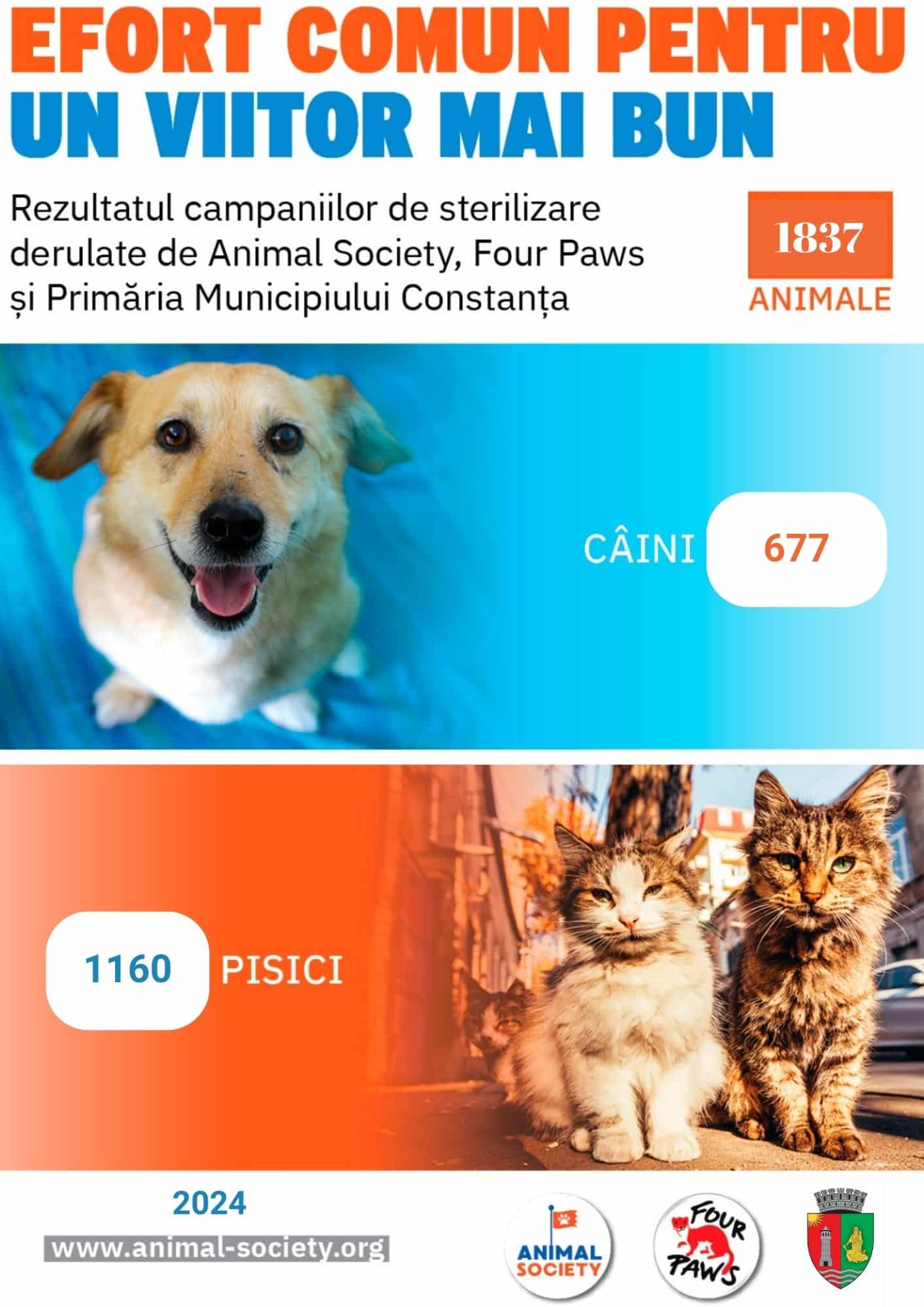 Proiect major de sterilizare și conștientizare în  Constanța