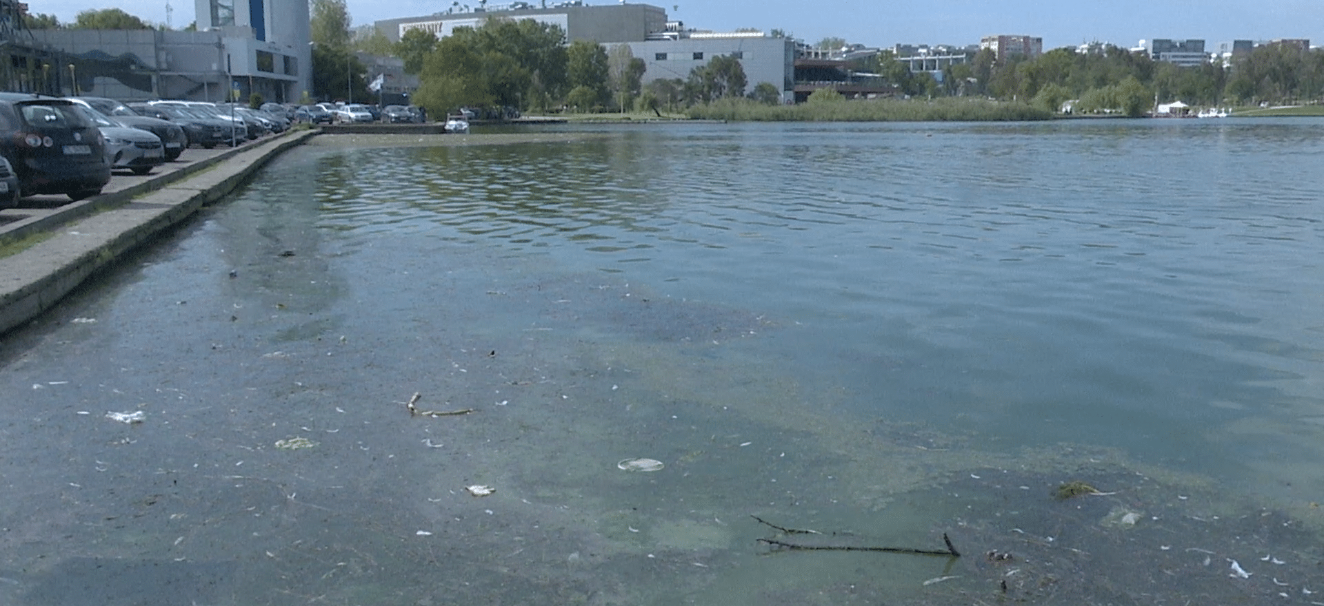 Studiu: Lacul Tăbăcăriei plin de metale grele