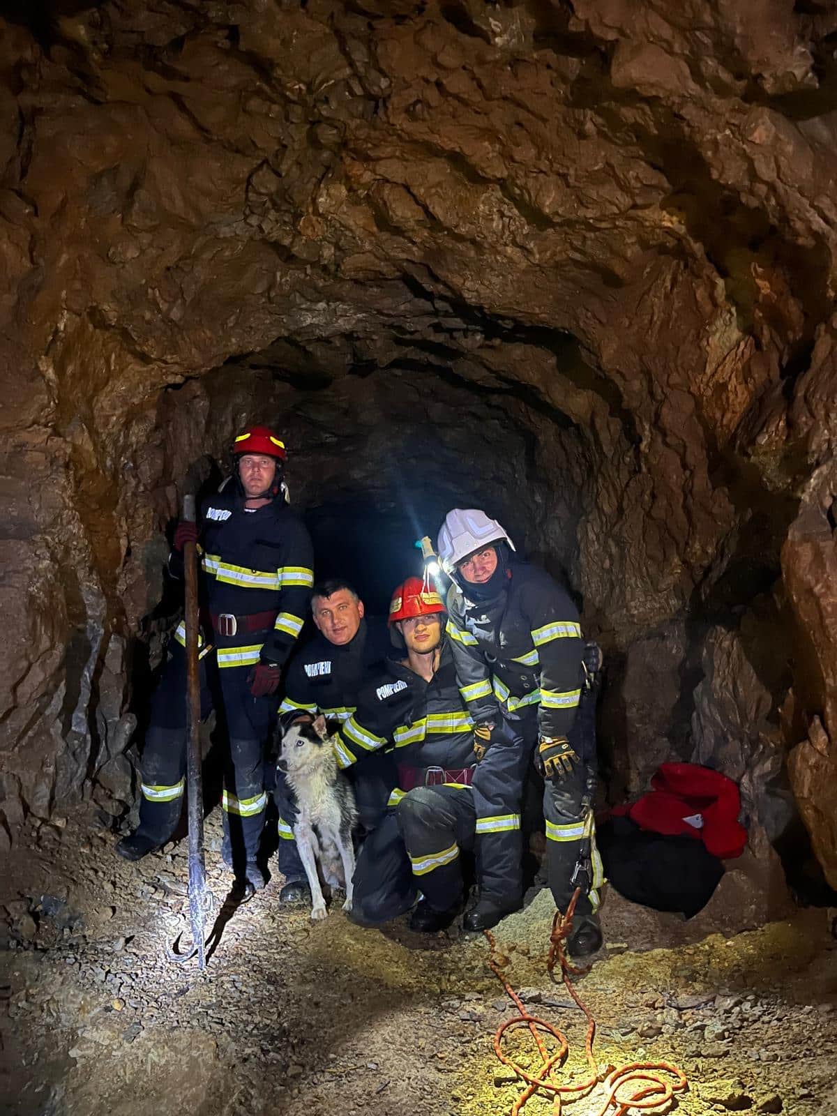 Cățel salvat dintr-o mină dezafectată