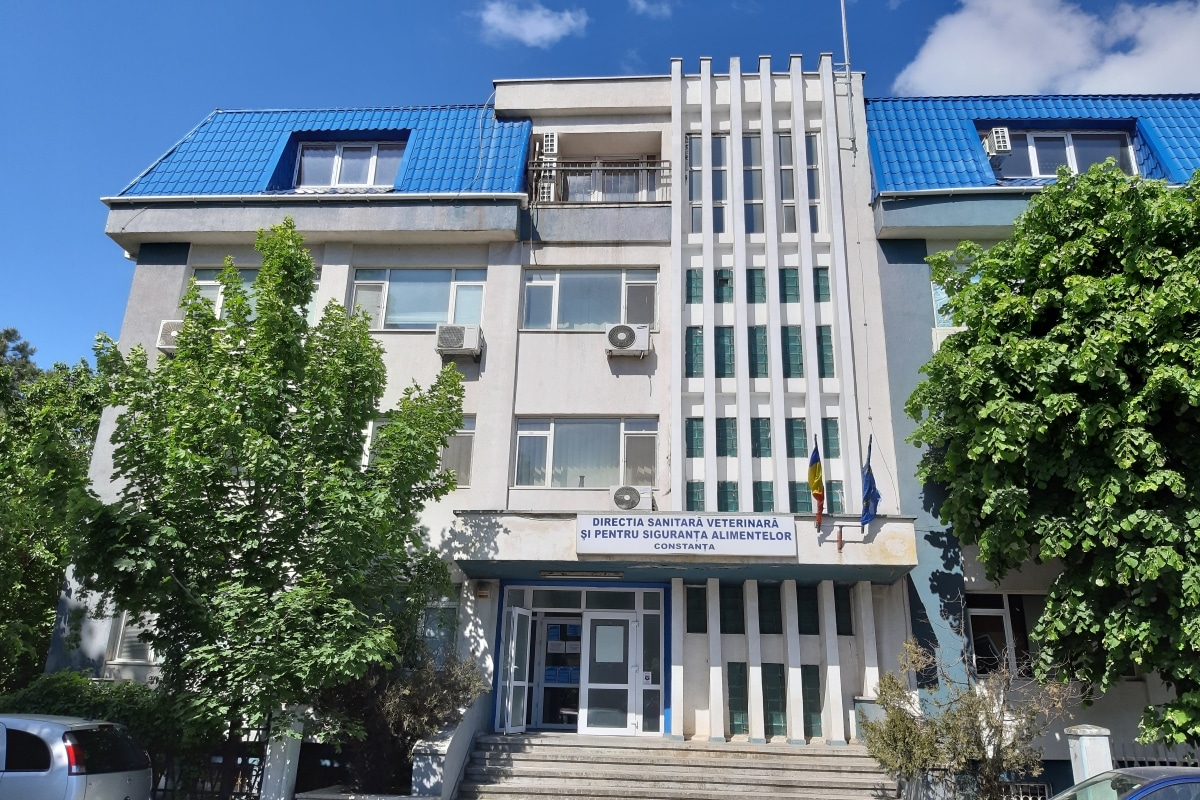 DSVSA Constanța: Au apărut focare de rabie în România. Iată simptomele bolii