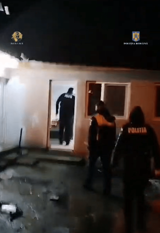 Mangalia: Șapte persoane au fost arestate pentru proxenetism