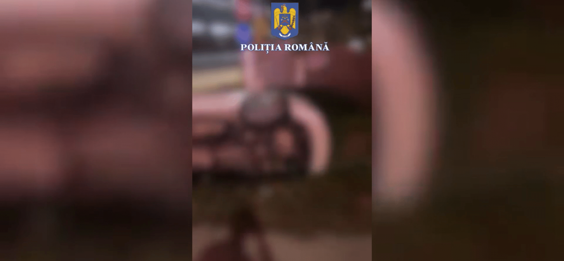 Cursă nebună prin noapte la Murfatlar