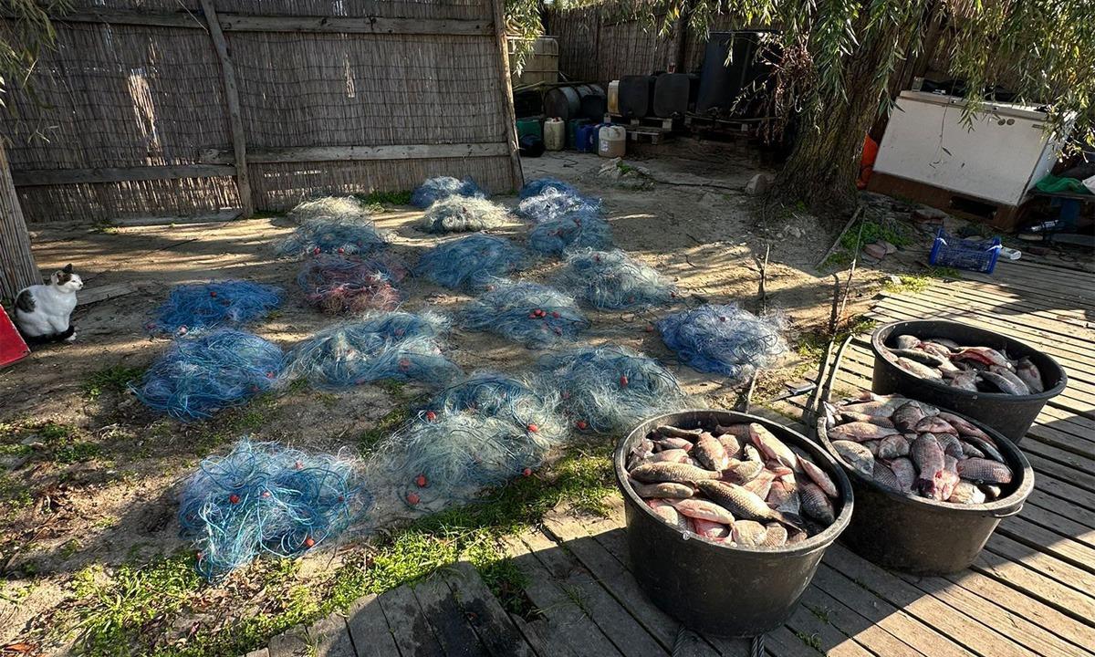 280 metri de plase de pescuit și 14 kilograme de pește capturat ilegal, descoperite de polițiștii de frontieră tulceni