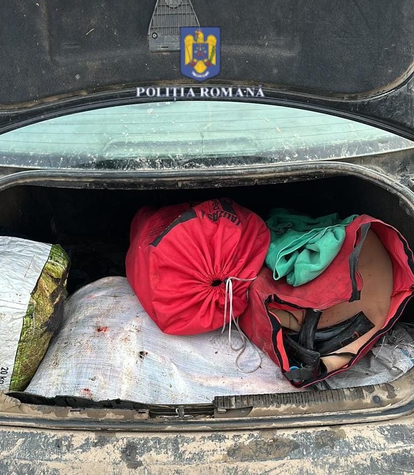 Bărbat, prins fără permis de conducere la volanul unei mașini ce era încărcată cu pește fără acte legale