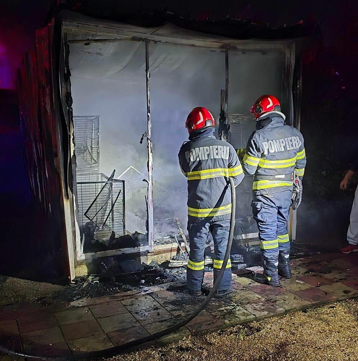 Zeci de câini morți într-un incendiu la Valu lui Traian