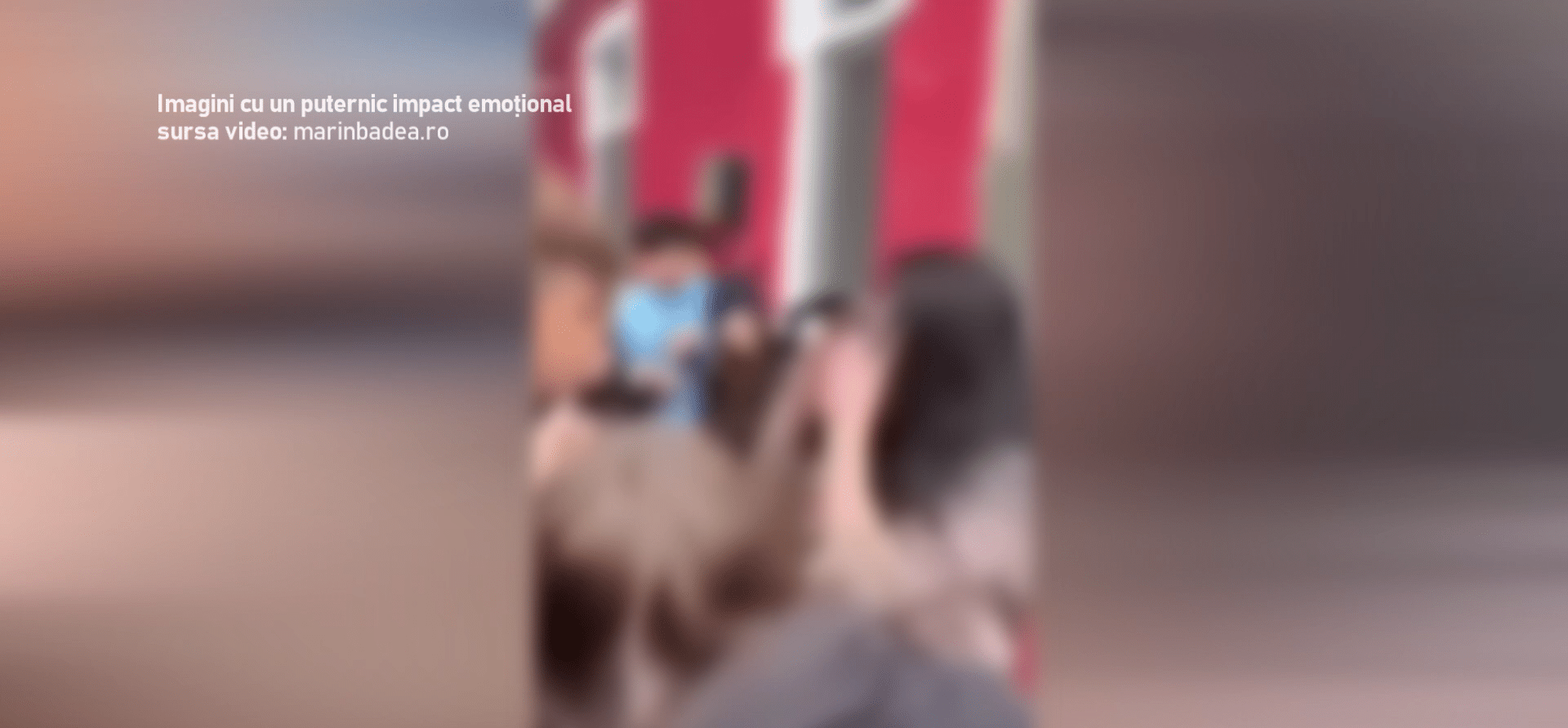 Bătaie la școală între două fete