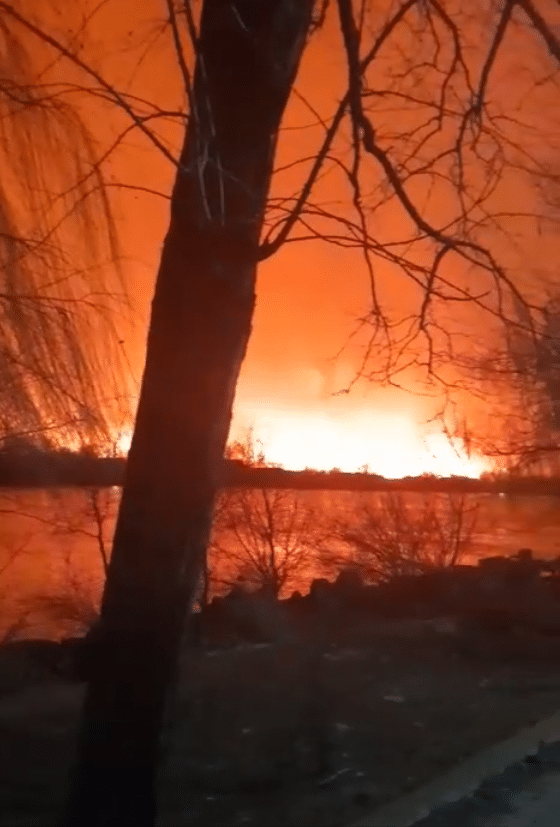 VIDEO: Incendiu de vegetație în nordul orașului Sulina