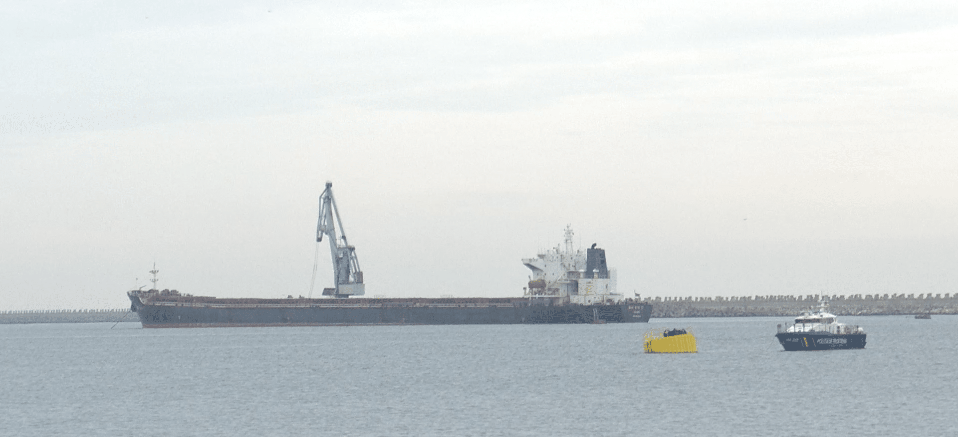 Transfer rapid al grânelor, direct în larg