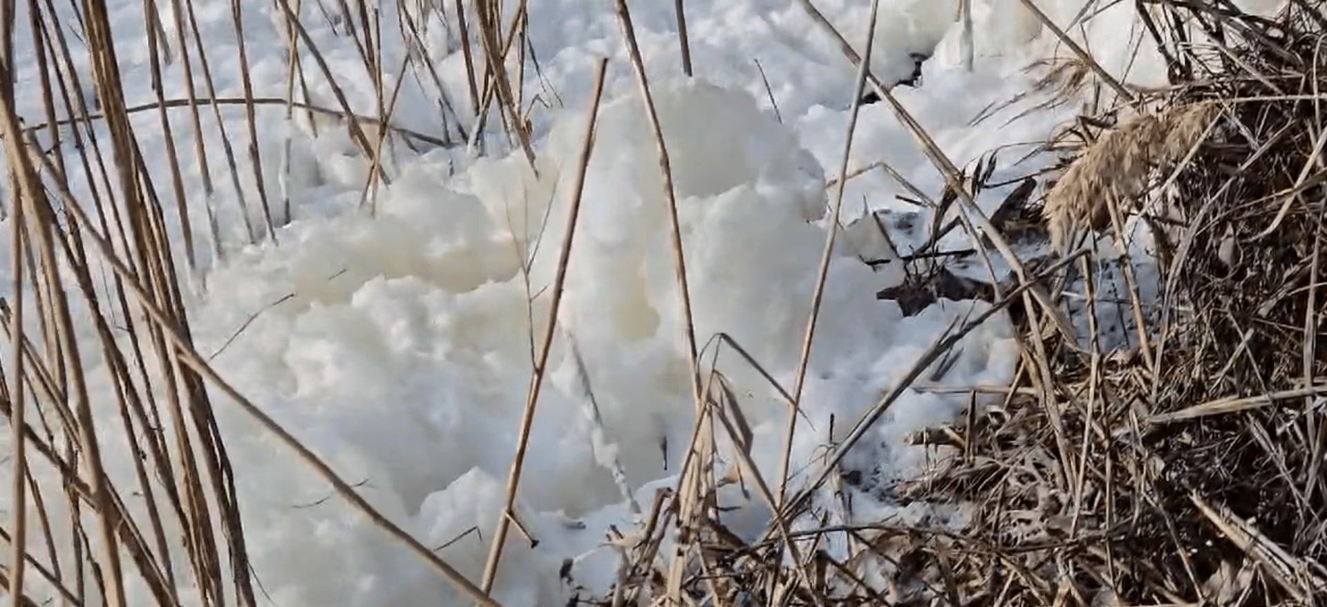 VIDEO. Fenomen spectaculos: Lacul Siutghiol acoperit cu spumă