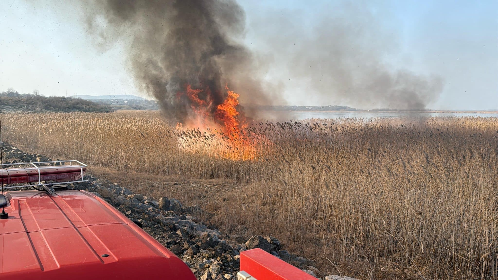 VIDEO. Tulcea: Incendiu de vegetație stuficolă în apropiere de localitatea Somova