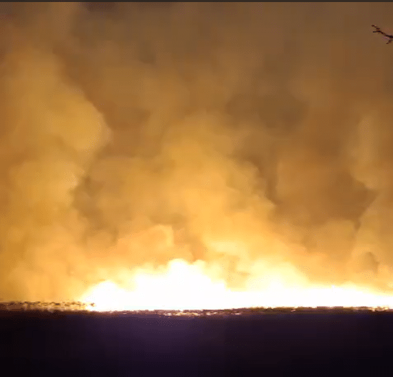 Incendiu la Aliman: zeci de hectare de vegetație uscată și stuf au ars