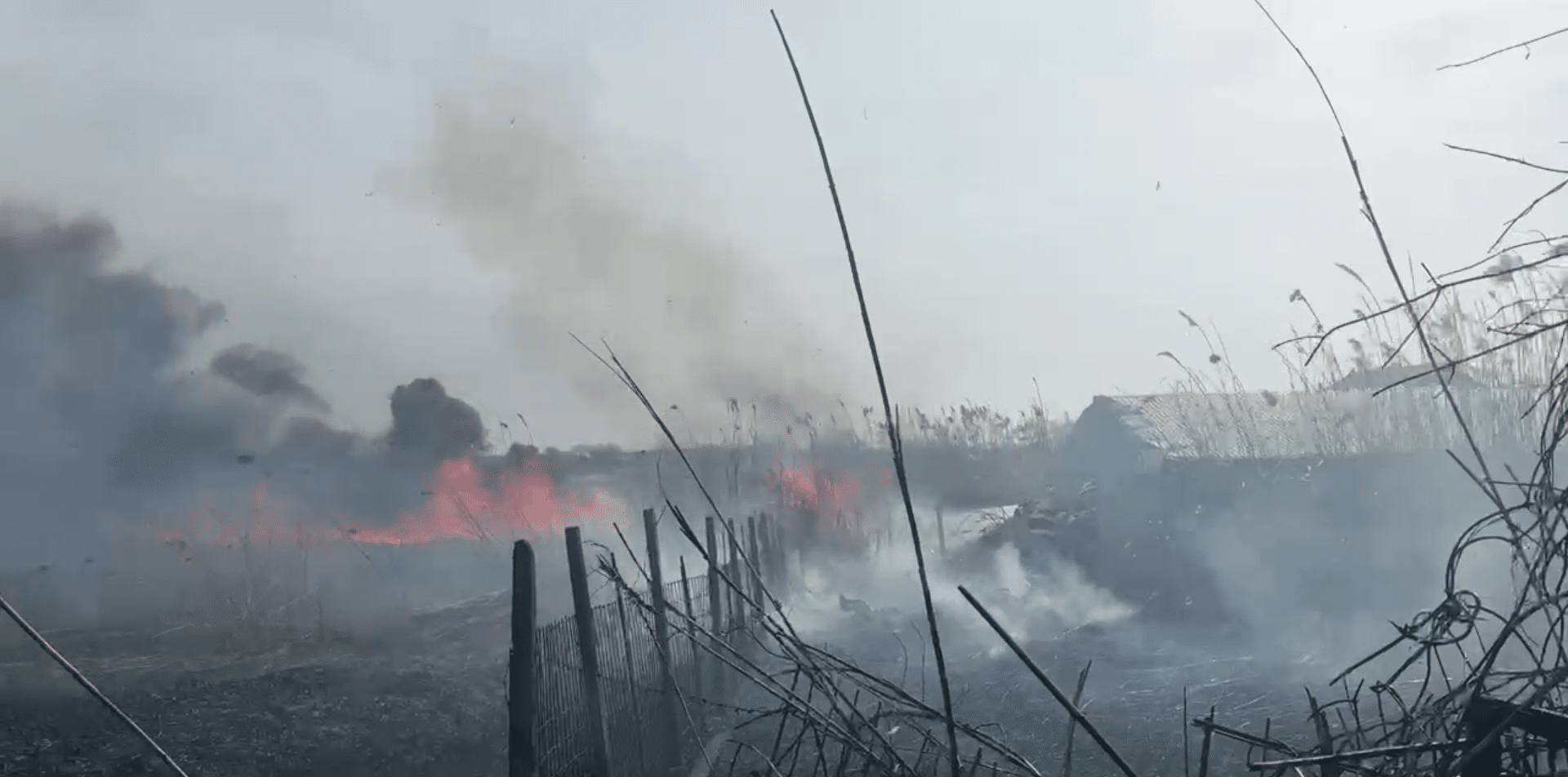Incendii uriașe în Tulcea și Constanța: Peste 11.000 de hectare distruse și apeluri pentru responsabilitate